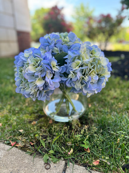 Hydrangeas #9136 – Trendsettings