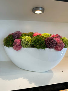 Oval large boxwood #7558