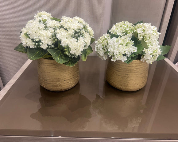 Gold Flower Arrangement Vase with White Greenery with Leaves.