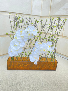 White Orchid with Rectangular Vase