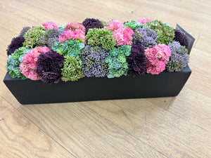 Colorful Boxwood in Black