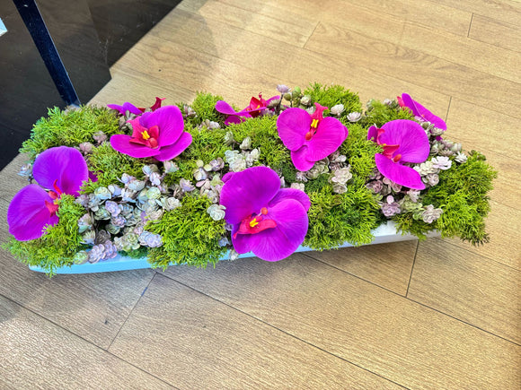 Colorful Boxwood with Purple Orchid