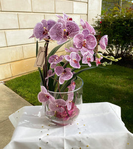 Purple orchid arrangement in clear vase