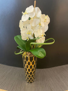 Black and gold vase with white orchids