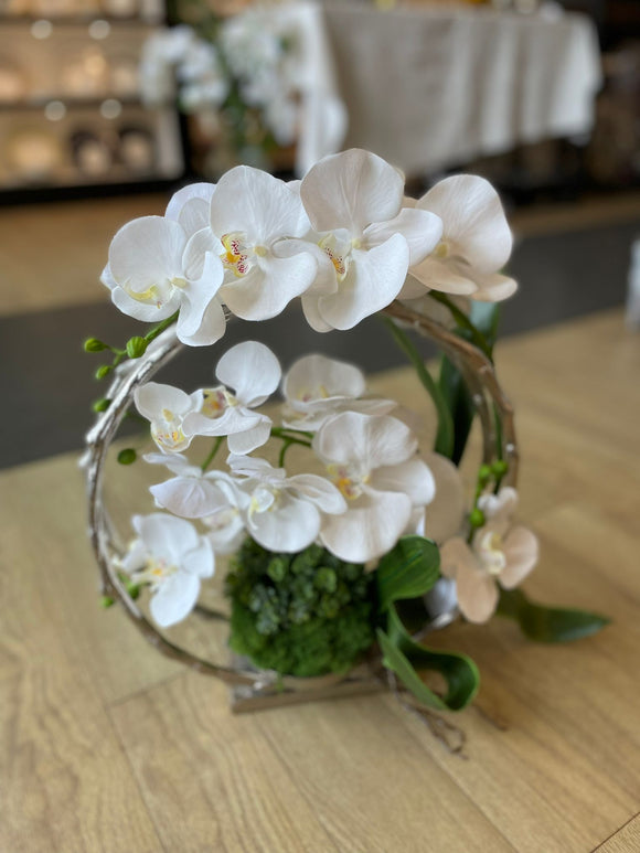 White orchid arrangement