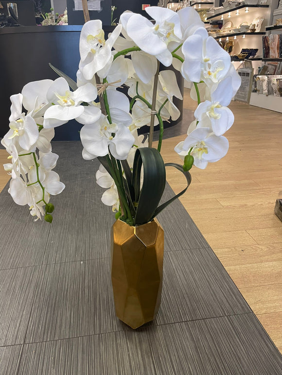 White Orchid with Golden Vase