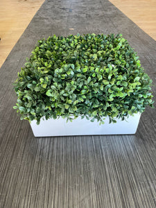 Square boxwood with greenery