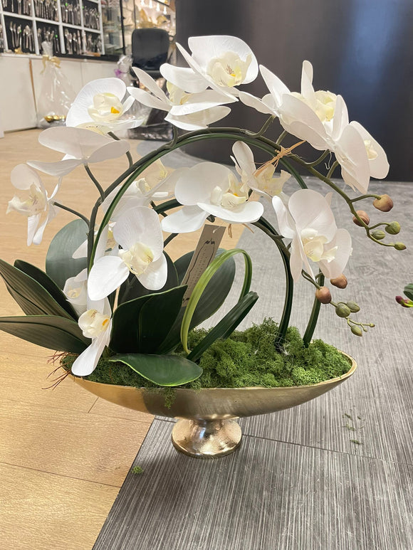 White Orchid Arrangement with Gold Half Moon Shaped Vase