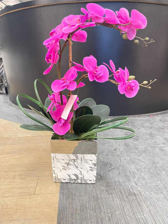 Magenta Orchid Arrangement with Marble Vase