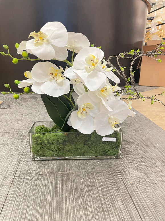 White Orchid Arrangement with Clear Vase