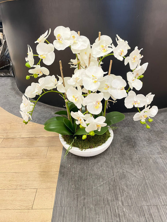 White Orchid Arrangament with White Vase