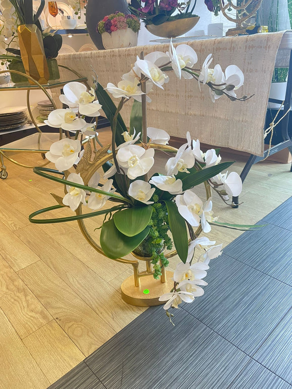 White Orchid Flower Arrangement with Golden Vase