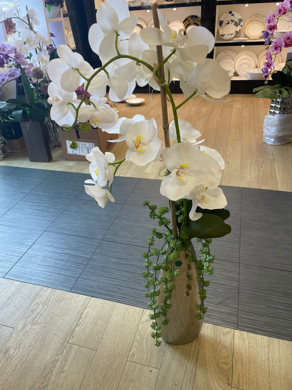 White Orchid Flower Arrangement