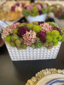 Colorful sedums in square vase #113