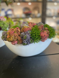 Colorful sedums in oval pot #114
