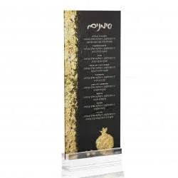 Lucite simanim dark card with stand #20