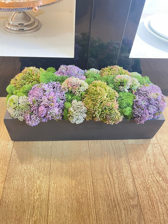 Purple & Green Flower Boxwood