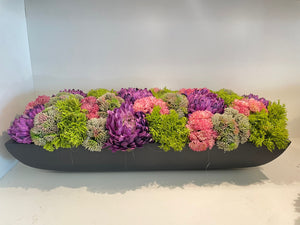 Colorful sedums in gray pot #9472